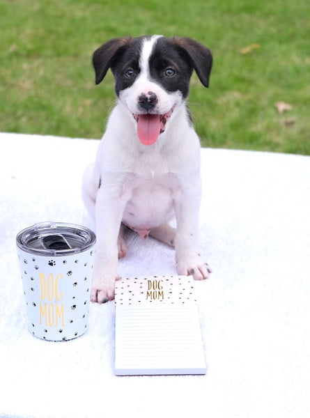 Dog Dad + Mom Collection