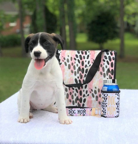 Dog Dad + Mom Collection