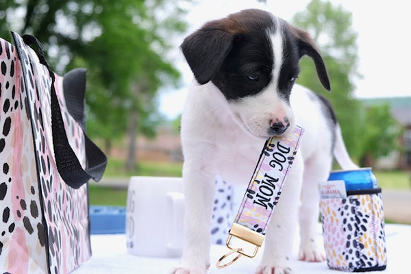 Dog Dad + Mom Collection