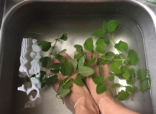 Happy Feet: Herbal Foot Bath + Disposal Care