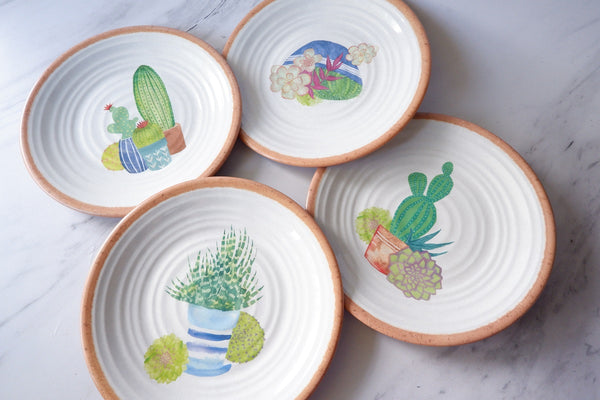 Succulent Plate Set