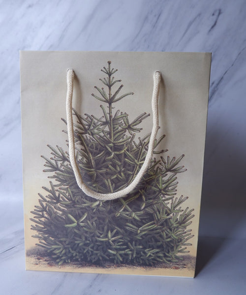 Gift Bags and Tags