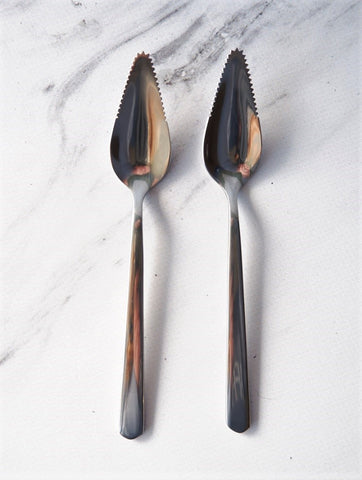 Grapefruit Spoon Set of 2